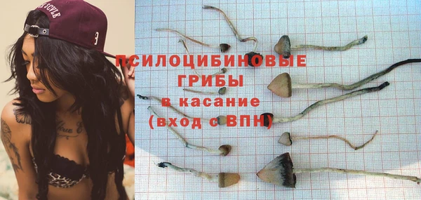 ПСИЛОЦИБИНОВЫЕ ГРИБЫ Михайловка