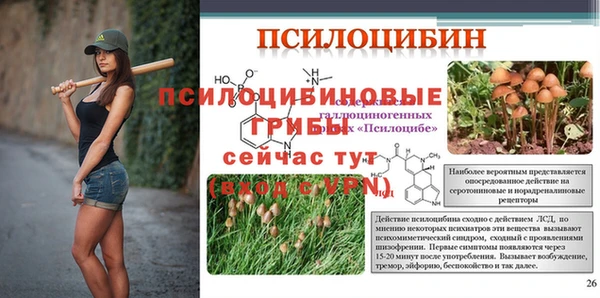 марки lsd Михайловск
