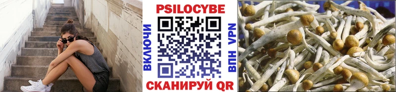 shop состав закладки Чишмы Псилоцибиновые грибы GOLDEN TEACHER